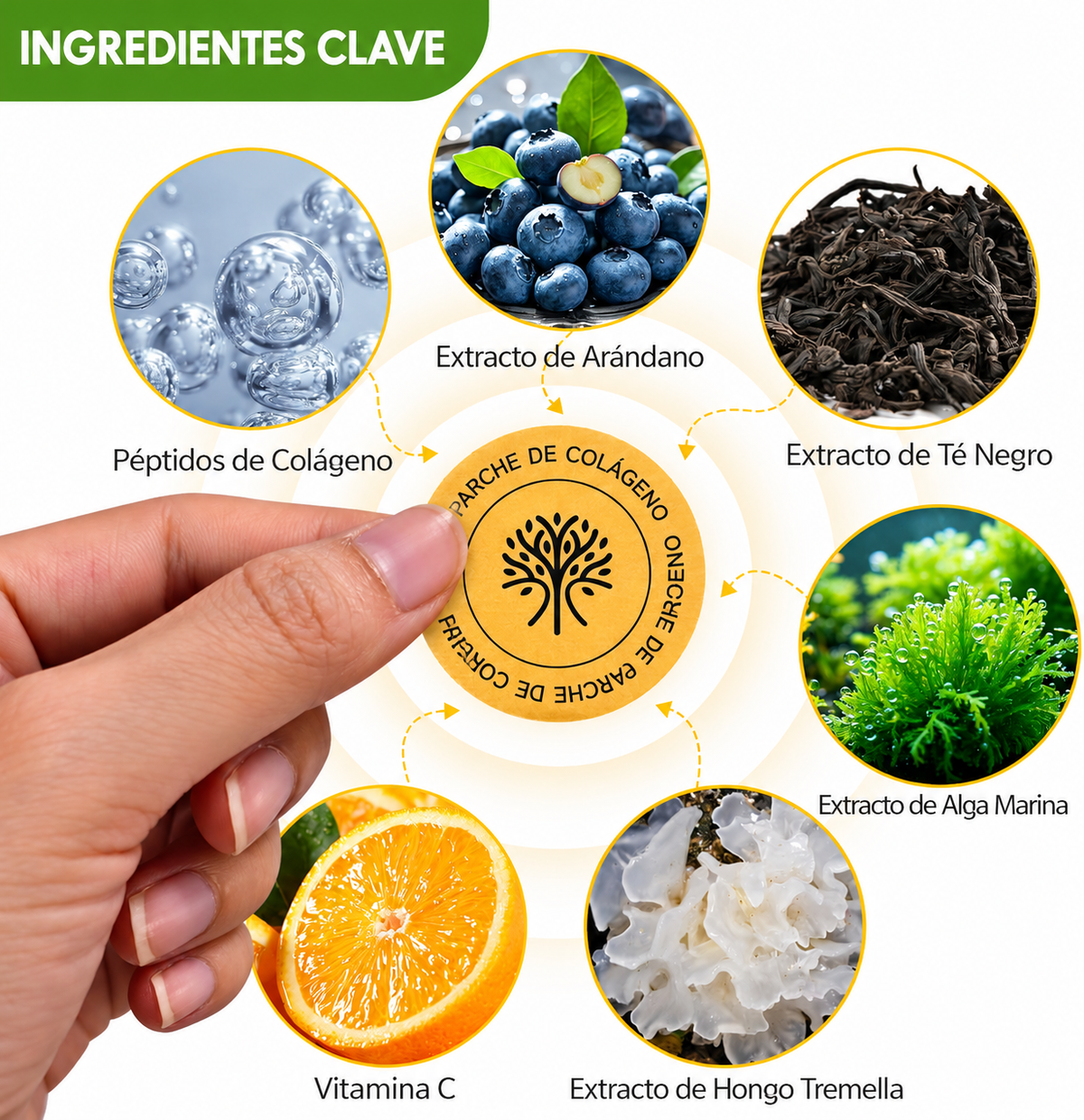 Aplicación sencilla de los parches de colágeno Acentia Labs