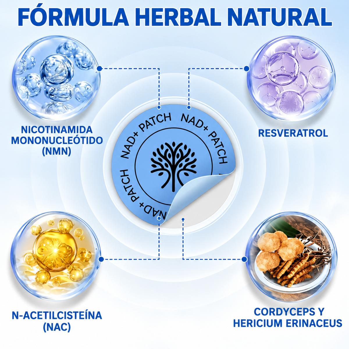 Capas y componentes de un parche NAD+ Acentia Labs